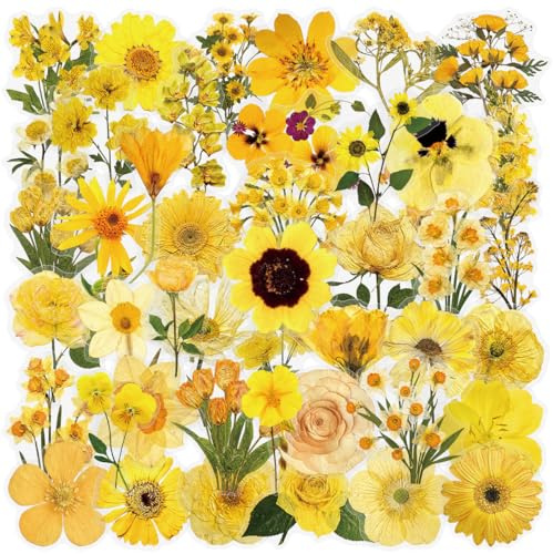 50 Pcs Yellow Flower Stickers Laptop Car Scrapbook Phone Skateboard Suitcase Luggage Bike Flower Transparent Vinyl Waterproof Aesthetic Personalised Stickers for Adults