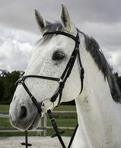 Riding World Trensenzaum mexikanisches Reithalfter, Gelbbraun, Pferd