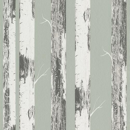 Rasch Tapete 285413 - Grüne Papiertapete mit Birkenstämmen, Birkenwald - 10,05m x 0,53m