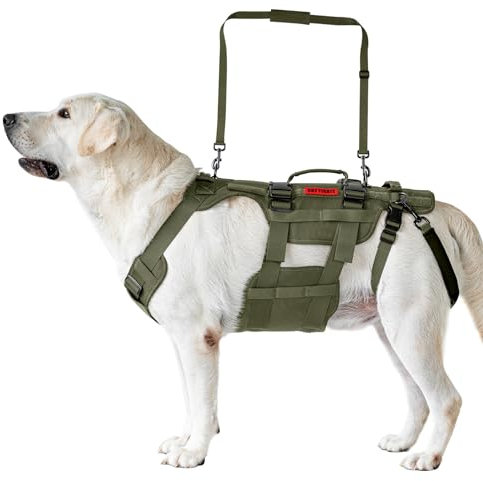 OneTigris Dog Lift Harness for Large Dogs, Dog Support Sling for Back Legs, DOG Lifter with Handles Invictus Multifunctional Mobility Assistance Vest Pet Hip Support Brace (Olive, L)