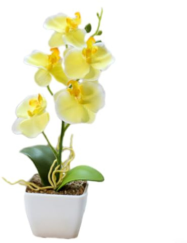 Alanmoship Orchidea Phalaenopsis realistica a 5 teste finta pianta 13 cm di larghezza composizione in vaso di plastica (giallo)