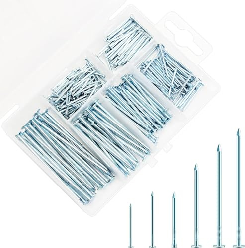 JABNOW Set di Chiodi per Ferramenta 250 Pezzi Assortimento di Chiodi in Acciaio 6 Misure Chiodi Zincati Chiodi per Appendere Quadri Chiodi in Acciaio per Muro Cemento con Scatola di Immagazzinaggio
