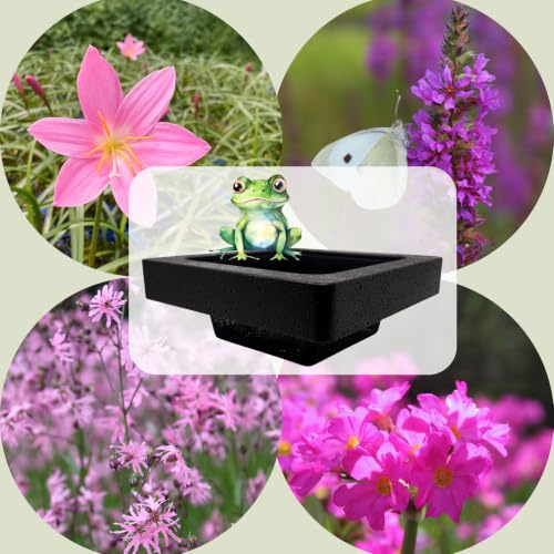 WASSERPFLANZEN WOLFF - FROG-ISLAND rosaviolett- SCHWIMMINSEL inklusive Pflanzen - REIHERSCHUTZ - 4er-Mix mit Pflanzinsel - QUALITÄTSSTAUDEN im Pflanzkorb - Frosch-Insel für Gartenteich