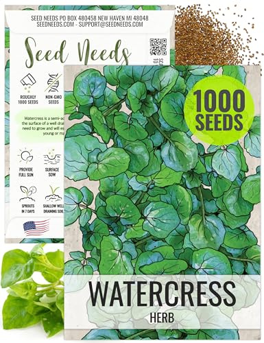 Seed Needs Watercress Seeds for Planting Nasturtium officinale - Non-GMO Heirloom & Untreated - Plant Your own Home Grown Culinary Herb Garden Indoors or Outdoors (1 Pack)