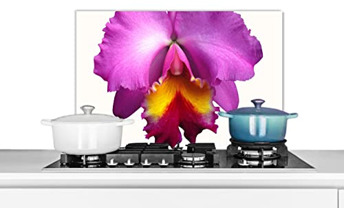 Credence Gros plan sur une orchidée Fond de hotte 60x40 cm Credence aluminium Plaque inox de cuisine