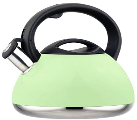 Bollitore da piano cottura da 2,5 l - Bollitore da piano cottura per fornelli a gas e piani cottura elettrici - Acciaio inossidabile - Fischio forte(Verde)