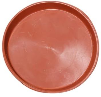 Ciotola per ricci, mangiatoia per topi, gerbilli, topi, ricci