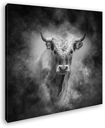 deyoli Dark Sternzeichen Stier Format: 70x70 Effekt: Schwarz&Weiß als Leinwandbild, Motiv fertig gerahmt auf Echtholzrahmen, Hochwertiger Digitaldruck mit Rahmen, Kein Poster oder Plakat