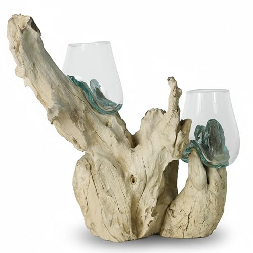 ART-CRAFT Handgefertigte Gamalwurzel mit 2 mundgeblasenen Recyclingglas-Schalen, Natur-Unikat, nachhaltige Wurzelholzkunst, ca. 40x20x20 cm, Vase, Terrarium, Einzelstück, Deko für Wohnzimmer