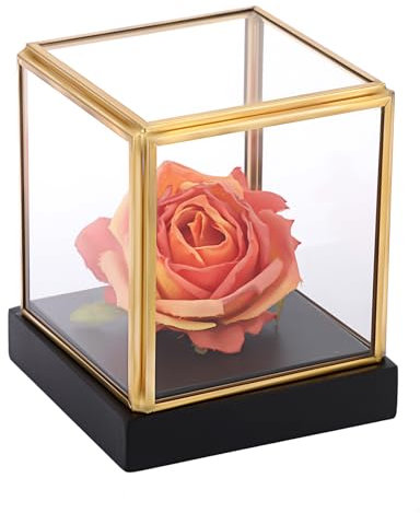 TOLIDA 10 * 10 * 12cm Clear Glass Display Box with Black Pine Base - Desktop Gold Edge Decorative Showing Case for Collectibles Figures Dolls Toys