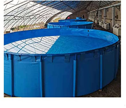 zklaseot Stahlrahmenbecken, Rund Leinwandfisch Teichbecken Mit Metallbügel Groß Fold Aquarium Kinderbecken Fischbecken Zum Speichern Bewässerung Von Wasser, Farbe : Blau, Größe : 1.2