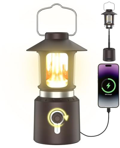 Phylosal Campinglampe Aufladbar mit 8000mAh Powerbank, Classic Retro Camping Laterne mit Akku, IPX4 Wasserdicht & Dimmbar, Outdoor Lampe für Garten,Stromausfällen, Stimmungsvolle Dekoration, Wandern