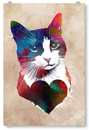 artboxONE Acrylglasbild 30x20 cm Tiere Katzen lieben Grafik Bild hinter Acrylglas - Bild Katze Herz Katze