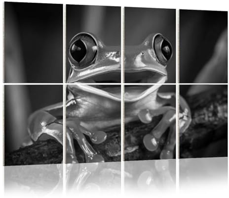 Art Acoustic Panels Red eyed tree frog 8 Pack Decorative Sound Absorbing Wall Panels 48x32 Noise Canceling Soundproof Padding Room Decor for Office