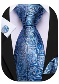 Barry.Wang Mens Blue Paisley Tie Silk Necktie Pocket Square Cufflinks Set Handkerchief Wedding Party