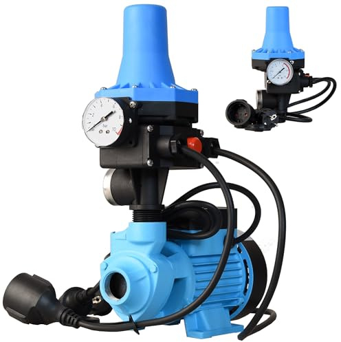 Wasserpumpe AQB 60 mit Elektronische Druckschalter CSK 31 - Pumpensteuerung - Gartenpumpe (370 W, 2100 l/h Förderhöhe 39m) - Gußeisen - Einschaltdruck einstellbar - Hauswasserautomat Trockenlaufschutz