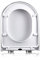 WC Sitz D-Form Toilettendeckel Mit Absenkautomatik Und Abnehmbar | Antibakterielle Klobrille Aus Duroplast Und Rostfreiem Edelstahl | Toilettensitz Weiß | Premium Toilet Seat,02A