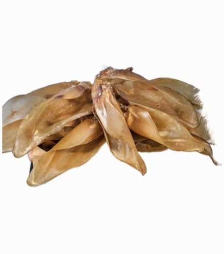 DEI NATURE Dried Cattle Ears - Pack of 12 Units Natural Beef Snack for Dogs, Suitable for Barf Diet