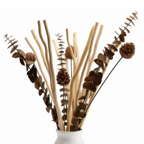 Yiomxhi 21 Pezzi Rami di Salice Decorativi Naturale, Bouquet Fiori Secchi Eucalipto e Pigne, Erba Essiccati Pianta per Rustico Boho Tavola Casa Matrimoni Decorazioni