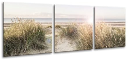 artissimo Glasbilder 3 teilig je 50x50 cm Strand und Meer Dünengras AG4024A – Glasbild Set modern, mehrteilig, XXL Wandbilder, Wanddeko Bild beige natur maritim