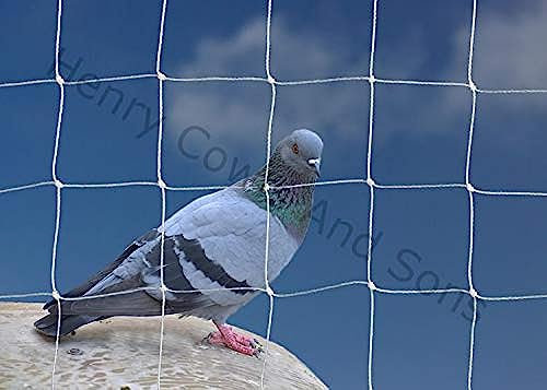 Henry Cowls Rete per uccelli da giardino, 5 m x 5 m, 50 mm, anti piccione, rete di protezione resistente bianca