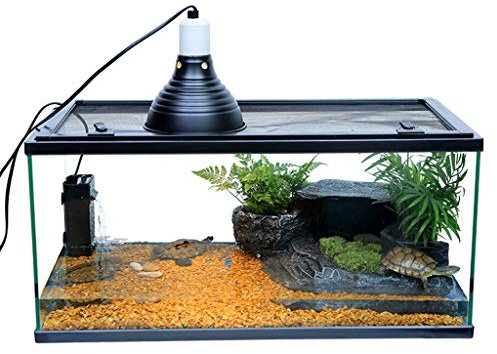 Haustierzuchtbox, HD-transparentes Glasaquarium, multifunktionaler Zierlandschaftstank, leicht zu reinigen (schwarz, 40 x 22 x 25 cm)