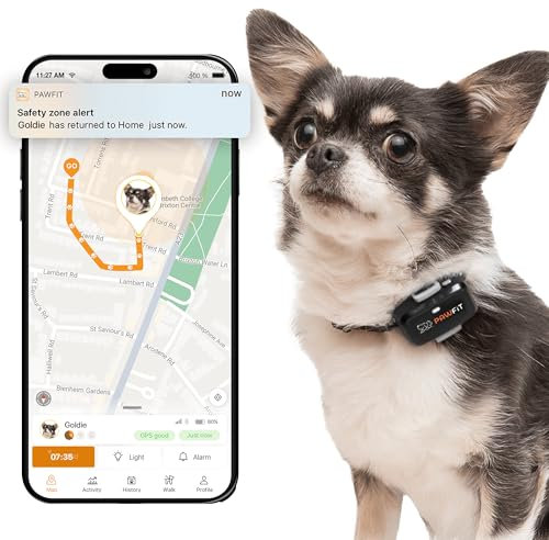 Pawfit Lite GPS-Tracker mit 4G für kleine Hunde | Tracking in Echtzeit | Aktivitätsüberwachung |Standortverlauf | Unbegrenzte Reichweite | Weiß