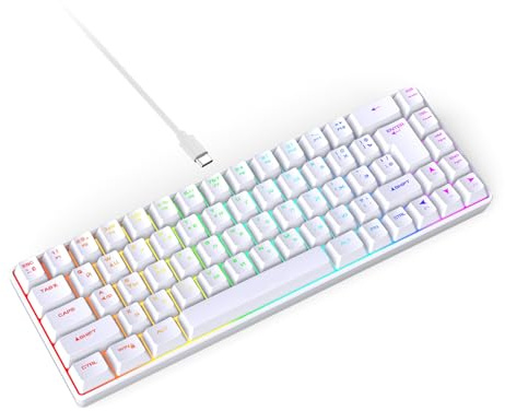 Cryfokt 68 Taste Verdrahtete Gaming Russische Tastatur, Mechanische Tastatur mit Zwei Sprachtyp C mit 18 RGB -Hintergrundbeleuchtungsmodi, Mechanische Gaming -Tastatur für PC -Laptop (White)
