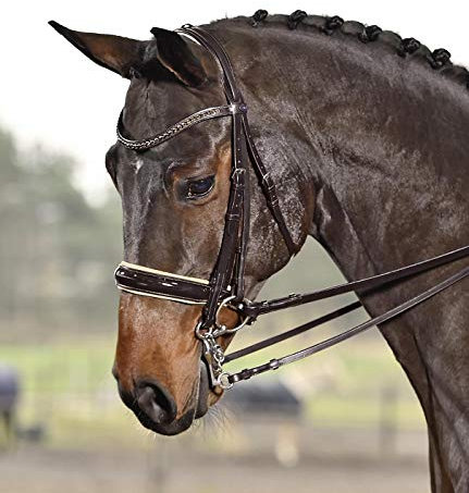 Busse