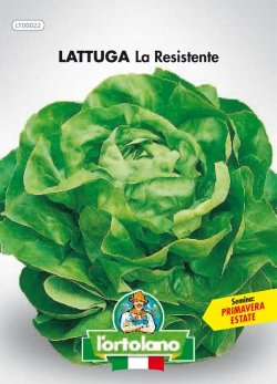 L'ORTOLANO Sementi Orticole Di Qualità In Busta Termosaldata (160 Varietà) (Lattuga La Resistente)