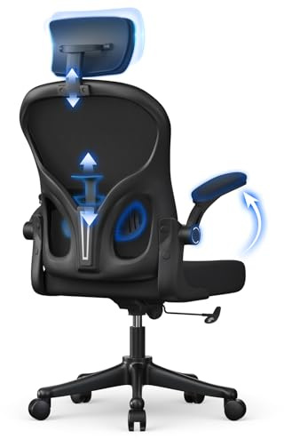 naspaluro Office Desk Chair with Flip-Up Armrest High Back Ergonomic Computer Chair with Adjustable Headrest and Lumbar Support Executive Swivel Chair for Home and Office - Black