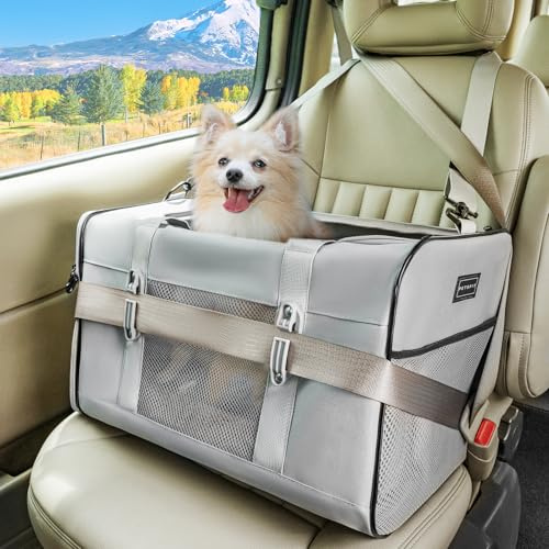 Petsfit Transportbox Katze für Auto, Katzentransportbox mit 2 Patent-Schnallen Transportbox Hund genügend Platz mit weichen Kissen, Tragetasche für Katzen und kleine Hunde, Grau