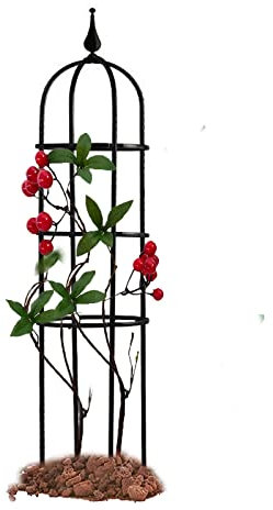RADAAB Giardino da Obelisco, Supporto Traliccio Piante Rampicanti,Traliccio in Metallo Rivestito Nero Grigliato a Colonna, per rampicanti, Verdure, Fiori, Frutta, Vite (Size : 6/15cm Diax24/60cm H)