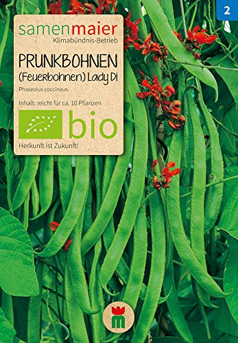 Samen Maier 787 Prunkbohne (Feuerbohne) Lady Di (Bio-Prunkbohnensamen)