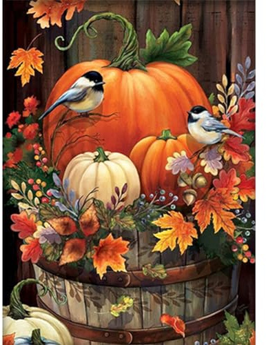 WOWDECOR Stamped Cross Stitch Kits for Adults Beginners, Pre Printed Pumpkin Bird 11ct 30x40cm Pattern DIY Embroidery Starter Kit Needlework Set