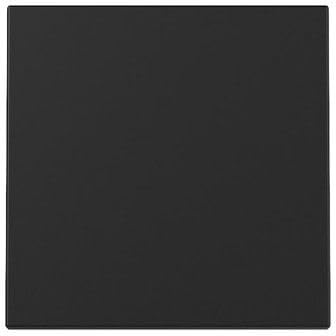 Gira 3296005 Wippe Schwarz matt