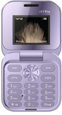 Mini Flip Phone for Elderly & Backup - 2G Dual SIM FM Radio, Large Keypad, Non-Smart Simple Mobile with Speed Dial | for Parents (E)