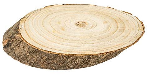 Große Naturholz Baumscheibe 51x32 cm Baumstamm Scheibe Holzscheibe Untersetzer Topfuntersetzer