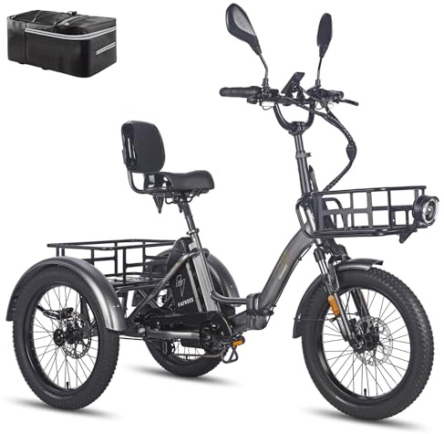 Fafrees F20 Mate E Bike Dreirad Klapprad 48V [ Offiziell ] Elektro Dreirad für Erwachsene, Herren E Bike Damen Hydraulische Scheibenbremsen, Fatbike Elektrofahrrad Lastenrad Ebike 65N.m, E Trike IPX5