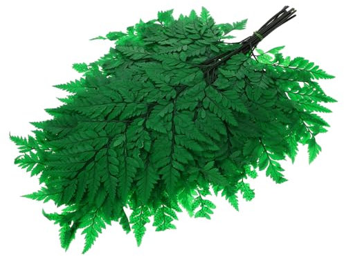 Alipis Getrocknete Pflanze Zum Basteln Bündel Pflanzen Dekor Natürliche Getrocknete Pflanze DIY Blumenarrangement Dekor Pflanzenschmuck Für Zuhause Getrockneter Pflanzenstrauß Pflanzenkun