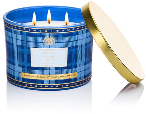 M&SENSE 330g Luxury Candela alla Soia Profumata Menta Di Mare E Picea|3 Stoppini in Cotone 65H, Aromaterapia Non Tossica, Barattolo Vetro Rigato Vintage, Regalo Donna Compleanno/Mamma Gift