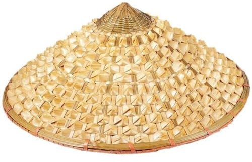 Handgjord japansk stråhatt vietnamesisk japansk Coolie sugrör bambu kon solhatt trädgård bonde fiske rekvisita beige, BEIgE, 42*15cm