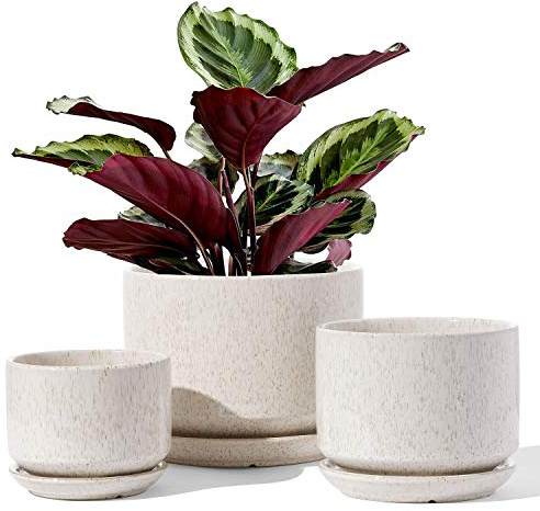 LE TAUCI Pot de Fleurs en Céramique, 11+13+17 cm, Lot de 3, Pot avec Trou de Drainage et Soucoupe, Pot d’Intérieur avec Tapis en Maille, Cadeau pour Maman/Mère, Beige