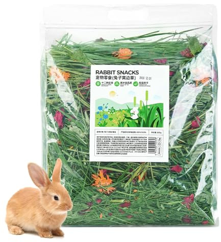 Hay – 12 lettiera in secca naturale per piccoli animali | Timothy medica menta cicoria fieno cibo per animali domestici sano per conigli, porcellini d' , lettiera foraggio per