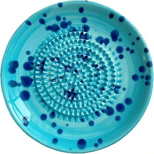 Ceramic Garlic Grater Plate, Natural Grinder, Decorative Mincer for Ginger, Garlic, Onion, Cheese, Hand Dish for Garlic