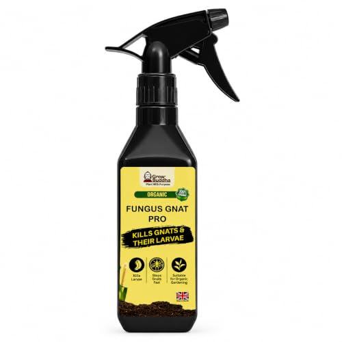 Fungus Gnat Killer Spray for Houseplants by Grow Buddha – Targets Fungus Gnat Larvae & Adult Gnats in Soil – Natural Neem Oil & Spinosad Formula for Indoor Plants, Monstera, Pothos & More