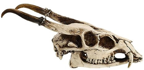 MUSISALY Fake Goat Skull Resin Decor Vintage 3d Aquarium Skull Ornament Beige Landscaping Prop for Viking Rustic Tabletop Skeleton Display