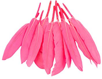 10 Indianerfedern ca. 10-15cm (pink 156) // Dekofedern Bastelfedern Masken Federn Schmuckfedern Vogelfedern