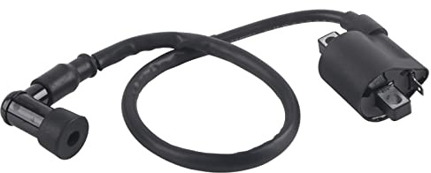 Bobina di Accensione per Moto Utilizzata per Convertire la Bassa Tensione in Migliaia di Volt per L'accensione della Candela Ad Alta Tensione, Adatta per la Maggior Parte dei Go