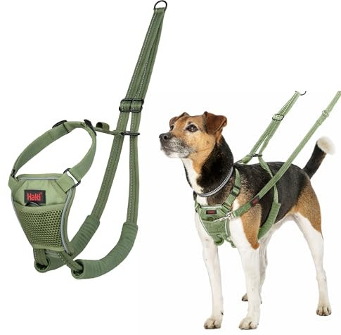 HALTI No Pull Anti-Zug Geschirr - Verhindert, DASS Ihr Hund an der Leine zieht, Gepolsterter Brust- und Beingurt, Reflektierendes Gurtmaterial, Einfache Anpassung und Benutzung (Größe XS, Waldgrün)